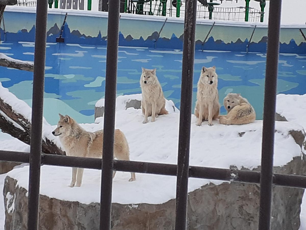 HfTITQDr4JuIz1abkuqBMsB47vBkQtrp7WrXDyRzspDpOeuly82ih4VIqtVpGFJx2dfjdZ76CVxvqIHWqtjrlTfY