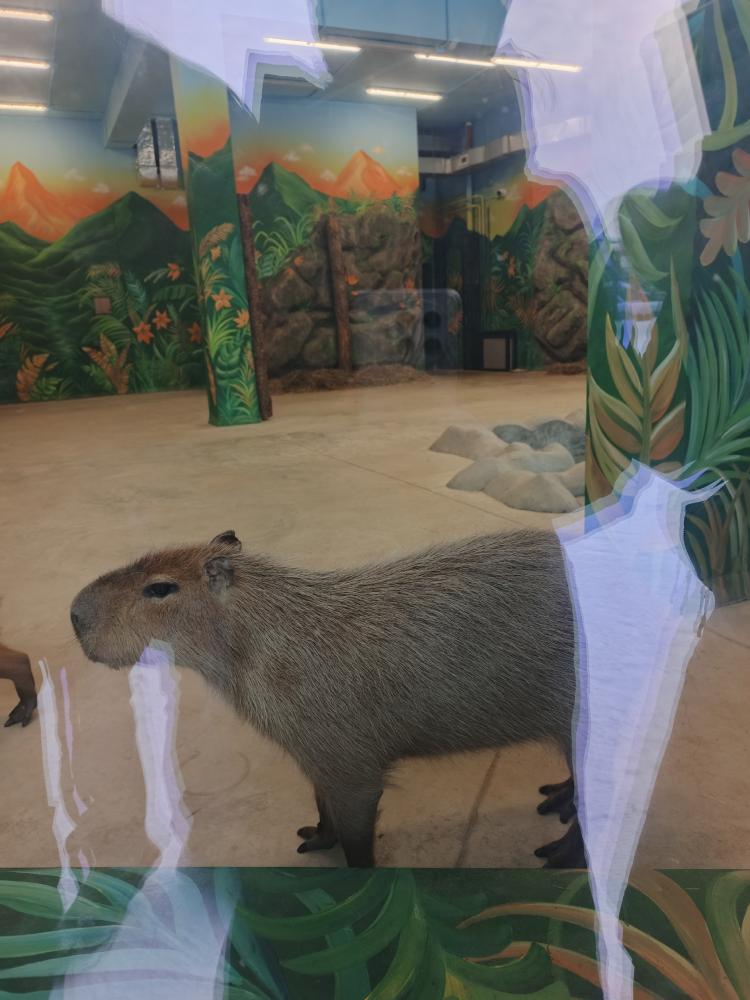 bzLuX9p3qUEeyVq9seRDle90MtU5mRafxQ452sdEprVfwZsAGFsgWRfbIzBvlDMdt9uVVyvaC3scRoljHxBC0AQ