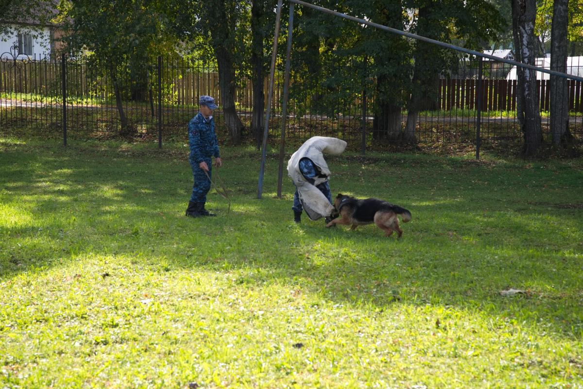 Jco7xGUKPc62E6VpkrkxMx3h60tK6IAGrXXEpW4-y9xJnbCBhMYIABL-rTAbptTZ7sjeP0zgXGxCXd2FZE9If