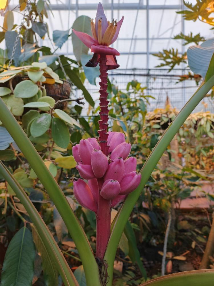 LKzlBNoYpFkmIhFadF07UnbmB9xy2a1blyLzFC-dwps5qWPkzI3KEG3O-IhXEC4NC3hHbABeiTMe8dDseOQK4L