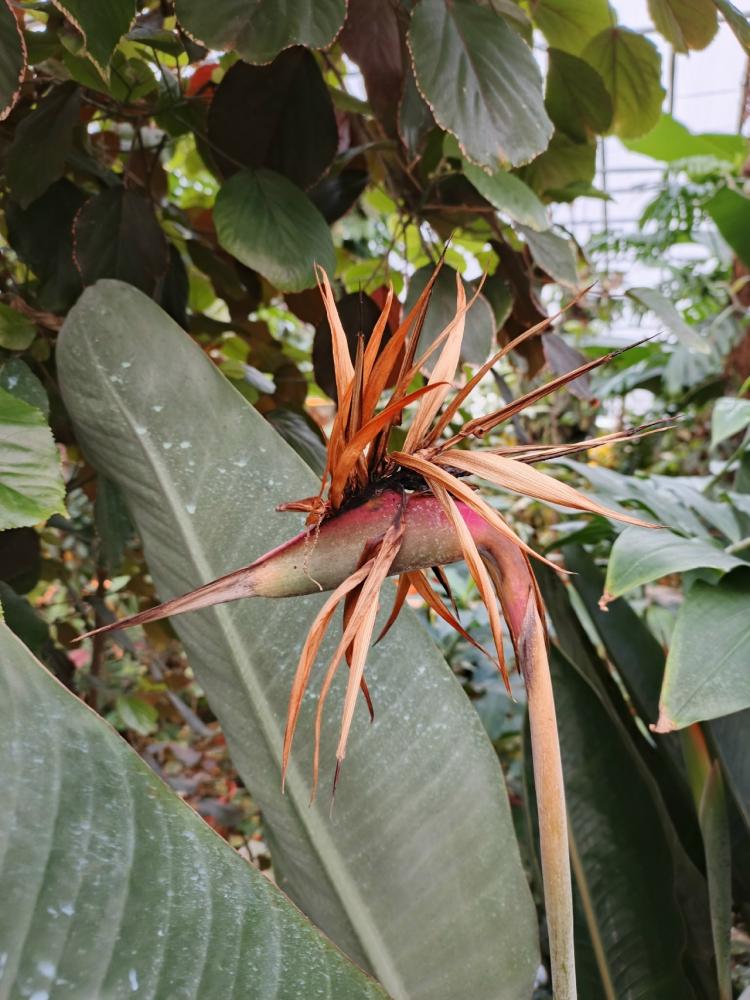 aQmsG8i61TWbH1jm3s6eao4806GfKJBy6sH8sF3JdVkAKbRQpPscXghjhYUyAtGUWrUjGBPdC6KFXJm6FtCTdo