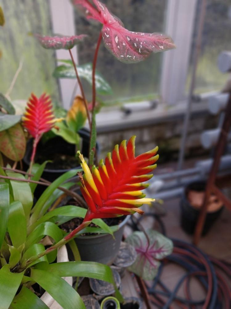 jGL70l97uoDwKC7D1IkGN1lon1IZxKIS8p8ng0NXsELAkUuiw1FdkzmnnnB7UUikf2eG4Vkg-x7HTnbJrfa87pZ