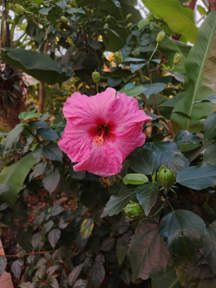 qC5BhIJbyth8EYD2ijBFnWXLHwwJF0G0XKLnZ7T8GQhIc1DAv2D4BwQ1uJd8blualCWLBruGZV7diYUZTLN7O2